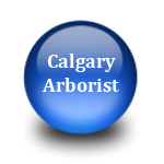 blogbutton Calgary Arborist Blog