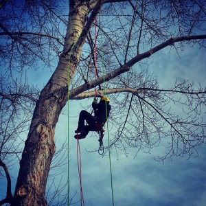 Winter Climbing