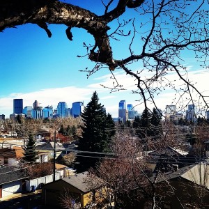 Tree Climbing